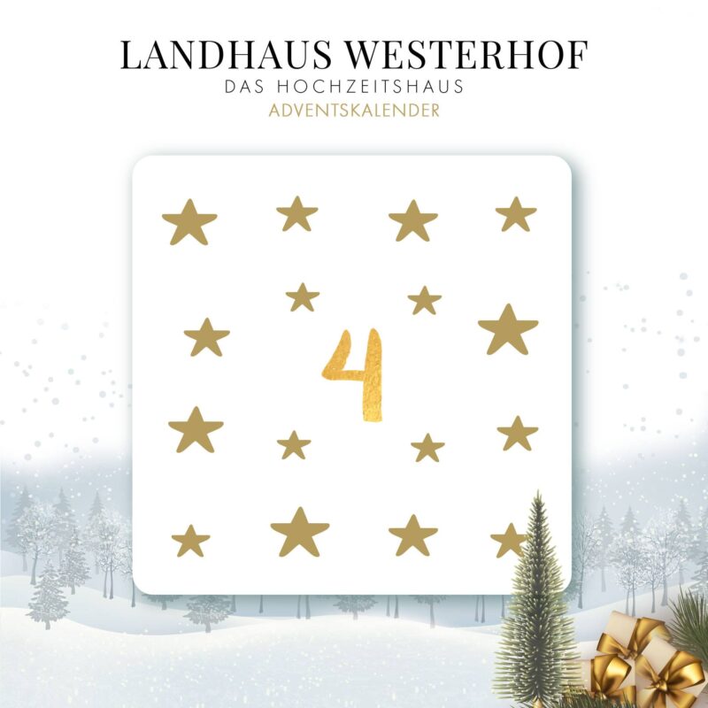 129095430_1754522164712565_4912787826664530823_o